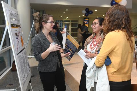 Diversity and Inclusion Fellows 2018 Expo